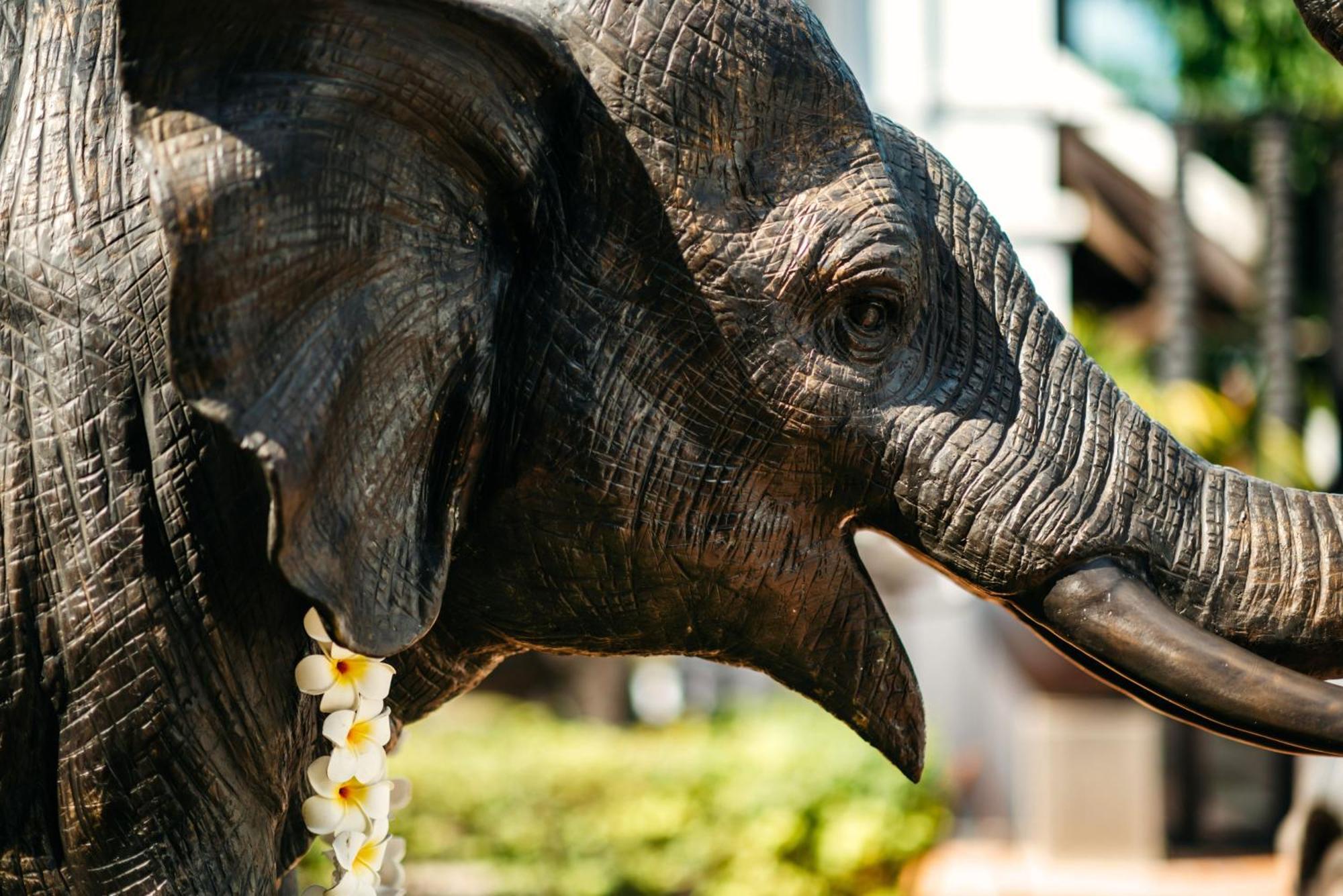Sofitel Luang Prabang Ξενοδοχείο Εξωτερικό φωτογραφία
